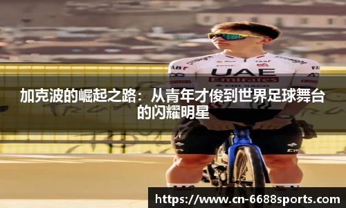 6686体育